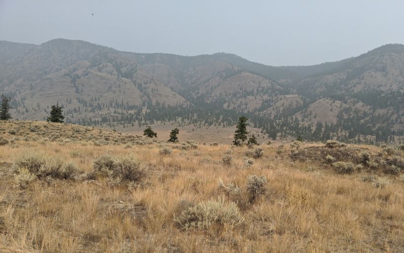Kamloops wilderness