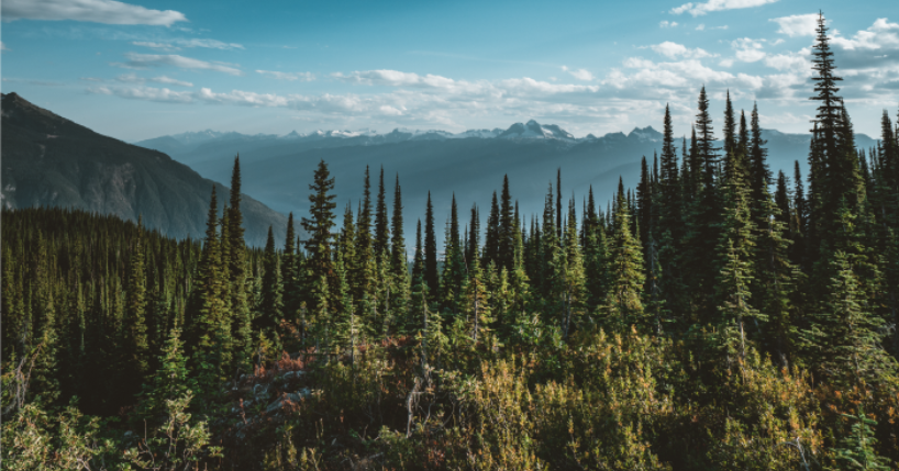 Panoramic view of forest, mountains and sky.