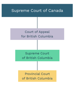 Graphic showing the levels of the Canadian court system.