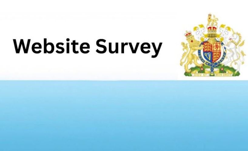 Website survey