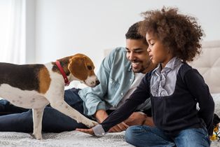 Happy dad and kid sitting on bed with family dog giving a paw as to shake.